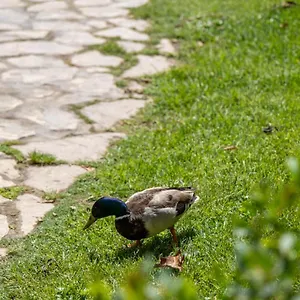 Garden & - , Torremolinos Spanje